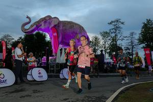 BIB: 
                            <button type="button" onclick="openModal(26529579)" class="btn btn-primary btn-sm float-right btn-popup" data-toggle="modal" data-target=".modal-high-quality">
                        <i class="fas fa-shopping-cart"></i> Add to Cart
                    </button>
                                            <button type="button" onclick="isThisMe(26529579, true)" class="btn btn-success btn-sm float-right btn-popup btn-isme hidden" data-toggle="tooltip" data-placement="bottom" title="นี่คือรูปของคุณใช่ไหม คลิกที่นี่เพื่อเอาเข้าอัลบั้ม">
                        <i class="fas fa-plus"></i> Add to album
                    </button>
                    <button type="button" onclick="isThisMe(26529579, false)" class="btn btn-warning btn-sm float-right btn-popup btn-isnotme hidden">
                        <i class="fas fa-ban"></i> Remove from album
                    </button>